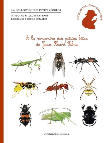 A la rencontre des petites bêtes de Jean-Henri fabre