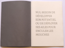 NUL BESOIN DE DEVELOPPER SON POTENTIEL OU DEPLOYER SES AILES POUR ENCULER LES MOUCHES