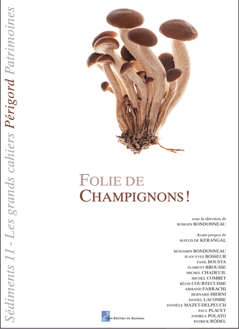 « Folie de champignons ! » (Sédiments 11)