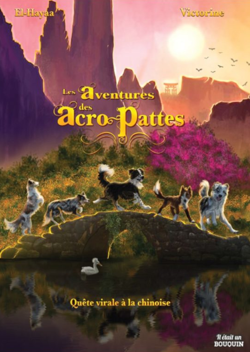 LES AVENTURES DES ACRO-PATTES 1 : QUETE VIRALE A LA CHINOISE
