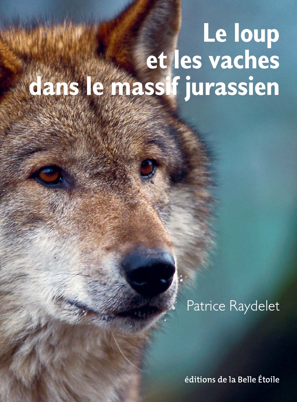 LE LOUP ET LES VACHES DANS LE MASSIF JURASSIEN