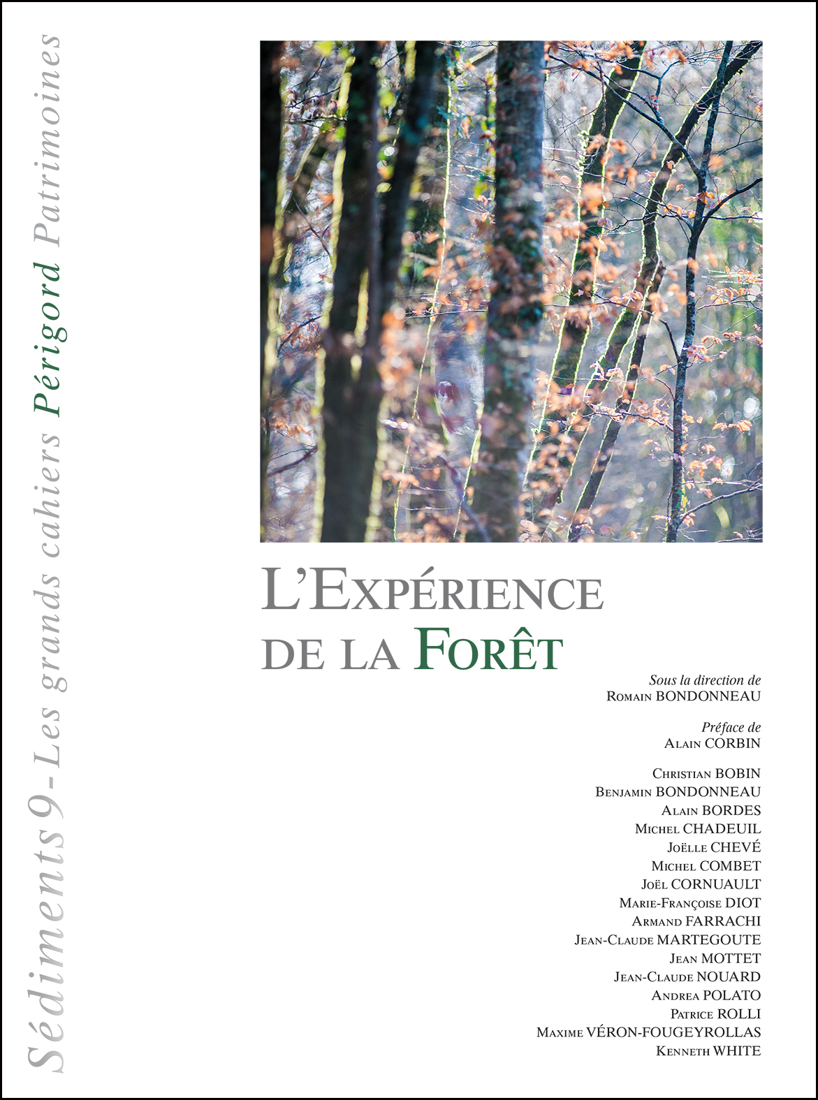 « L’Expérience de la forêt » (Sédiments 9)